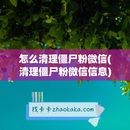 僵尸粉智能剔除清理