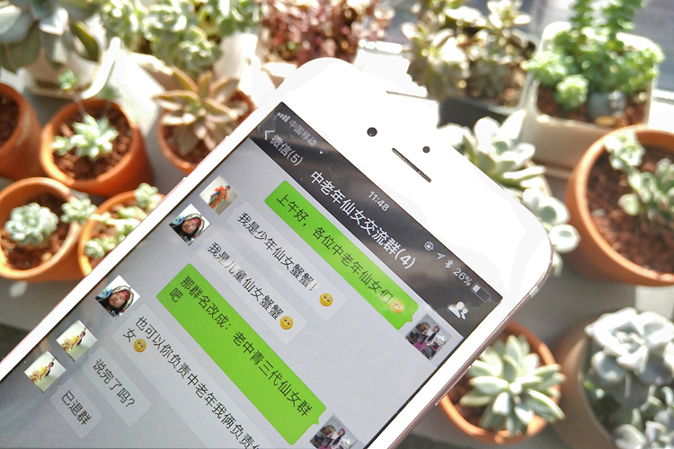 自动化运营与高效互动的全面解决方案