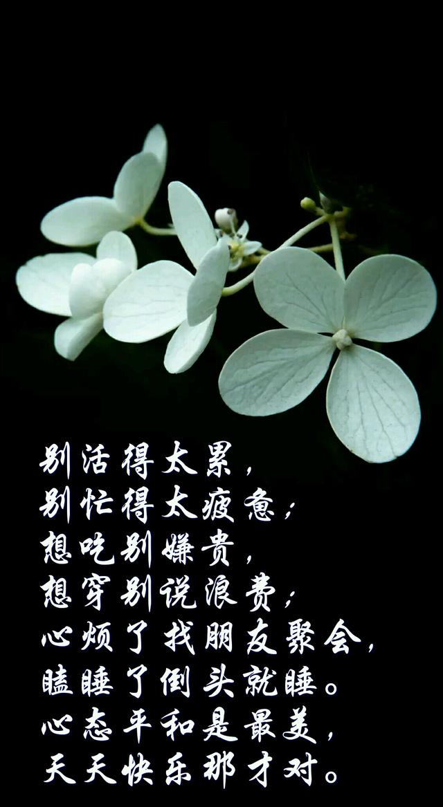 安卓后台静默多开运行技术实现与应用场景深度解析