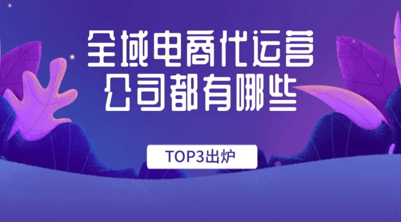 微商线上全域拓客引流：多渠道整合策略与高效转化实战指南 (微商线上活动方案创意)-初仟社区